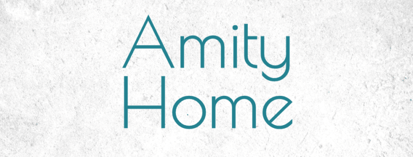 Amity Home Textiles for the Interior Design Trade - DesignTradeSolutionsLLC.com