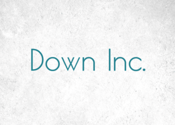 Down Inc. Textiles for the Interior Design Trade - DesignTradeSolutionsLLC.com