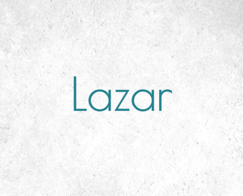 Lazar Casegoods for the Interior Design Trade - DesignTradeSolutionsLLC.com