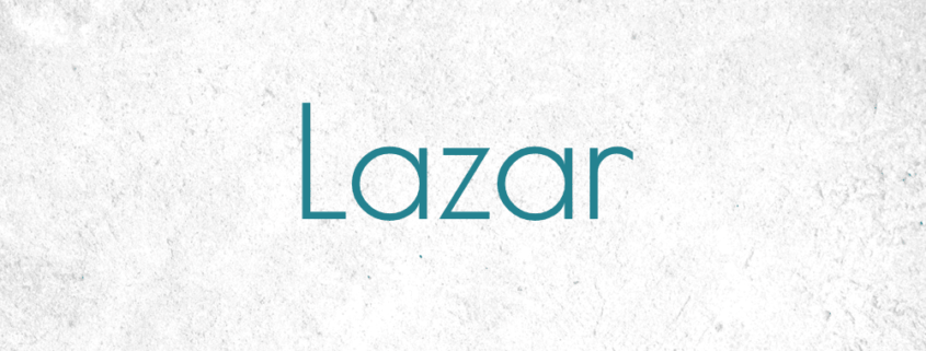 Lazar Casegoods for the Interior Design Trade - DesignTradeSolutionsLLC.com