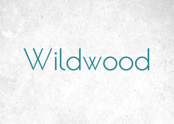 Wildwood Lighting for the Interior Design Trade - DesignTradeSolutionsLLC.com